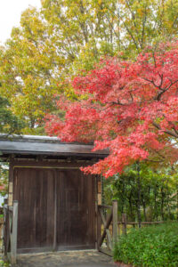 色金山公園、紅葉、11月秋、愛知県長久手市の観光・撮影スポットの名所