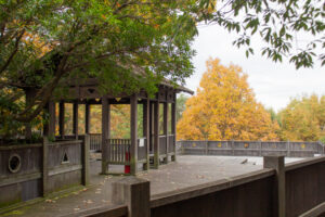 色金山公園、紅葉、11月秋、愛知県長久手市の観光・撮影スポットの名所