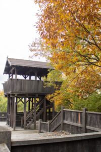 色金山公園、紅葉、11月秋、愛知県長久手市の観光・撮影スポットの名所