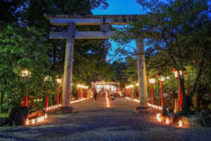 市原稲荷神社、夏詣、竹あかり、提灯 ライトアップ、愛知県刈谷市の観光・撮影スポットの名所
