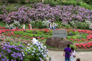 形原温泉、あじさい、6月の夏の花、愛知県蒲郡市の観光・撮影スポットの画像と写真
