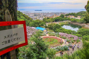 形原温泉、あじさい、6月の夏の花、愛知県蒲郡市の観光・撮影スポットの画像と写真
