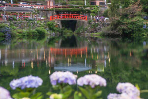 形原温泉、あじさい、6月の夏の花、愛知県蒲郡市の観光・撮影スポットの画像と写真