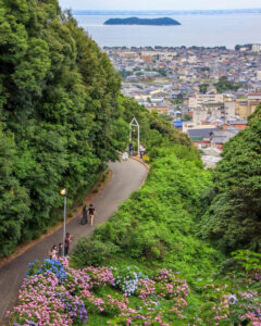 形原温泉、あじさい、6月の夏の花、愛知県蒲郡市の観光・撮影スポットの画像と写真