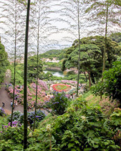 形原温泉、あじさい、6月の夏の花、愛知県蒲郡市の観光・撮影スポットの画像と写真