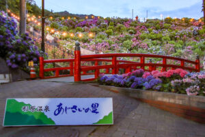 形原温泉あじさいの里、ライトアップ、6月の夏の花、愛知県蒲郡市の観光・撮影スポットの画像と写真