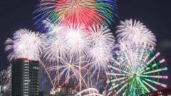 名古屋港ガーデンふ頭、名港水上芸術花火、8月、名古屋市港区の観光・撮影スポットの画像と写真