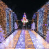 名古屋港ガーデンふ頭、イルミネーション、12月冬、名古屋市港区の観光・撮影スポットの画像と写真