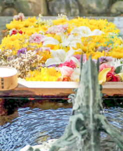 上飯田六所宮、花手水舎、名古屋市北区の観光・撮影スポットの名所