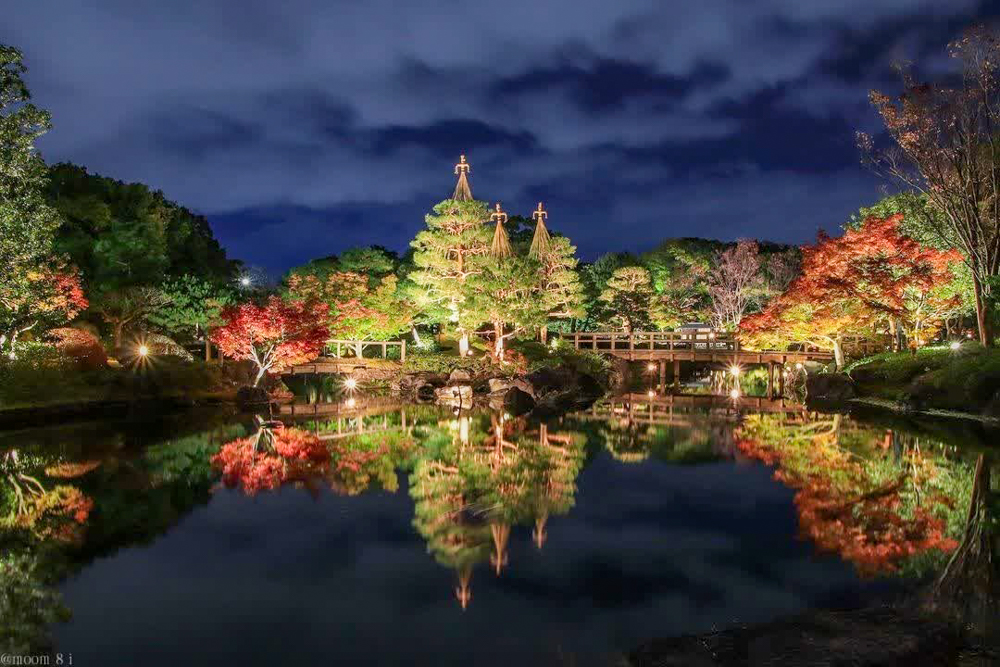 白鳥庭園、観楓会、紅葉、ライトアップ、11月、秋、名古屋市熱田区の観光・撮影スポットの画像と写真