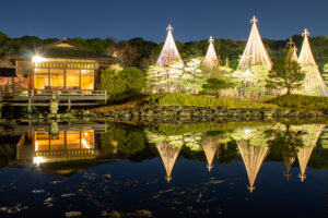 白鳥庭園、観楓会、紅葉、ライトアップ、11月、秋、名古屋市熱田区の観光・撮影スポットの画像と写真