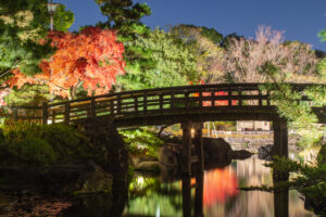 白鳥庭園、観楓会、紅葉、ライトアップ、11月、秋、名古屋市熱田区の観光・撮影スポットの画像と写真
