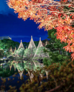 白鳥庭園、観楓会、紅葉、ライトアップ、11月、秋、名古屋市熱田区の観光・撮影スポットの画像と写真