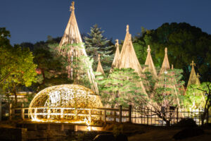 白鳥庭園、観楓会、紅葉、ライトアップ、11月、秋、名古屋市熱田区の観光・撮影スポットの画像と写真