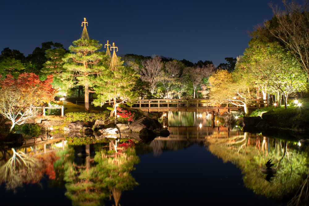 白鳥庭園、観楓会、紅葉、ライトアップ、11月、秋、名古屋市熱田区の観光・撮影スポットの画像と写真