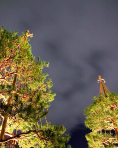 白鳥庭園、観楓会、紅葉、ライトアップ、11月、秋、名古屋市熱田区の観光・撮影スポットの画像と写真