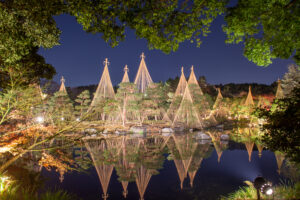 白鳥庭園、観楓会、紅葉、ライトアップ、11月、秋、名古屋市熱田区の観光・撮影スポットの画像と写真