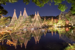 白鳥庭園、観楓会、紅葉、ライトアップ、11月、秋、名古屋市熱田区の観光・撮影スポットの画像と写真
