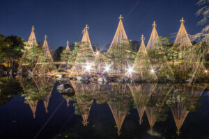 白鳥庭園、観楓会、紅葉、ライトアップ、11月、秋、名古屋市熱田区の観光・撮影スポットの画像と写真