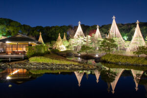 白鳥庭園、観楓会、紅葉、ライトアップ、11月、秋、名古屋市熱田区の観光・撮影スポットの画像と写真