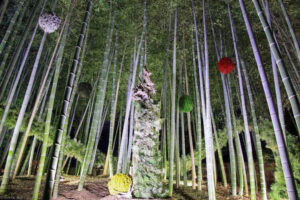 白鳥庭園、観楓会、紅葉、ライトアップ、11月、秋、名古屋市熱田区の観光・撮影スポットの画像と写真
