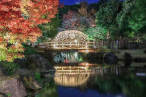 白鳥庭園、観楓会、紅葉、ライトアップ、11月、秋、名古屋市熱田区の観光・撮影スポットの画像と写真