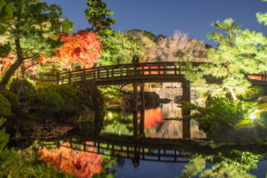 白鳥庭園、観楓会、紅葉、ライトアップ、11月、秋、名古屋市熱田区の観光・撮影スポットの画像と写真