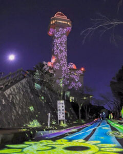 城山公園, スカイワードあさひ, ひかりの切り絵,,、冬、2021年12月