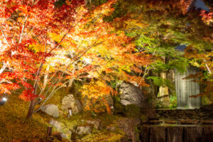 徳川園、紅葉、ライトアップ、名古屋市東区の観光・撮影スポットの名所