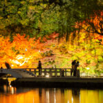 徳川園、紅葉、ライトアップ、名古屋市東区の観光・撮影スポットの名所