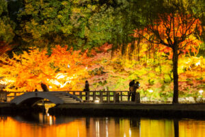 徳川園、紅葉、ライトアップ、名古屋市東区の観光・撮影スポットの名所