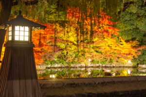 徳川園、紅葉、ライトアップ、名古屋市東区の観光・撮影スポットの名所