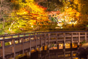 徳川園、紅葉、ライトアップ、名古屋市東区の観光・撮影スポットの名所