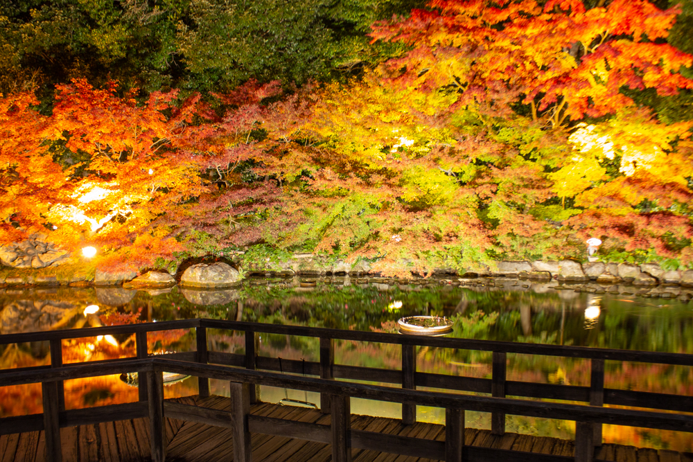 徳川園、紅葉、ライトアップ、名古屋市東区の観光・撮影スポットの名所