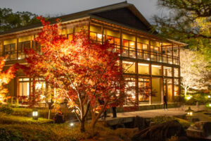 徳川園、紅葉、ライトアップ、名古屋市東区の観光・撮影スポットの名所