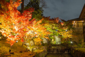 徳川園、紅葉、ライトアップ、名古屋市東区の観光・撮影スポットの名所