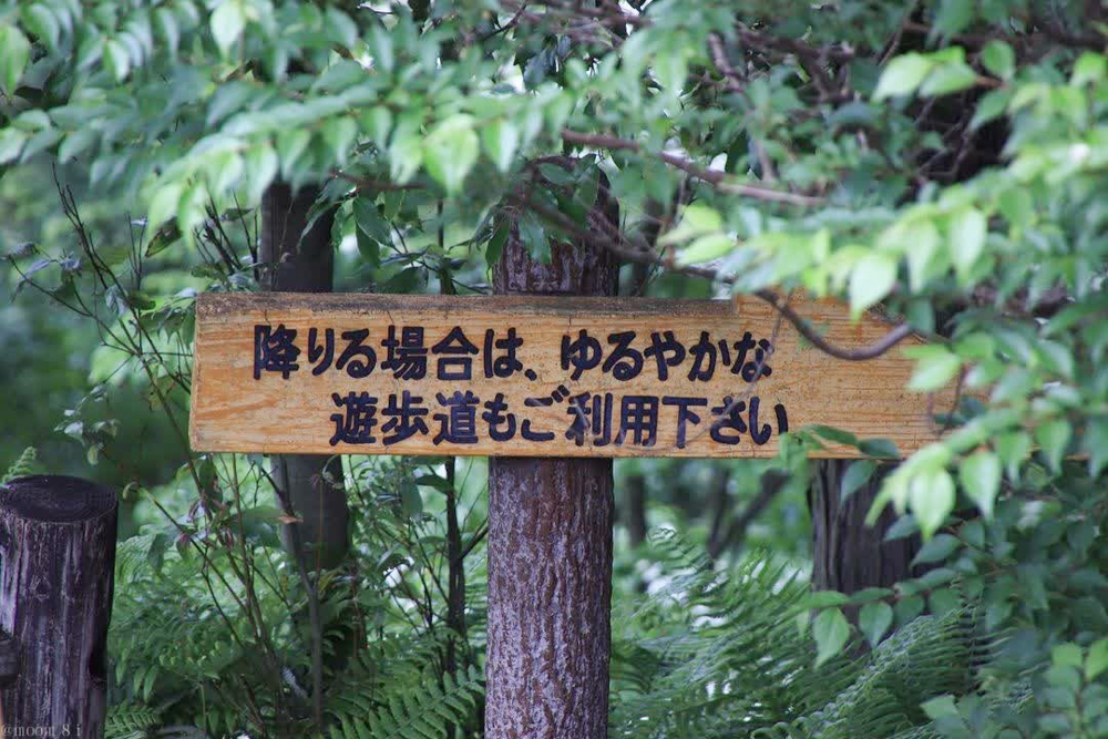 月見の森、岐阜県海津市の観光・撮影スポットの画像と写真