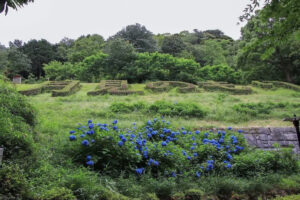 月見の森、あじさい、岐阜県海津市の観光・撮影スポットの画像と写真