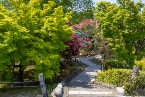 清須公園、４月春の花、愛知県清須市の観光・撮影スポットの名所