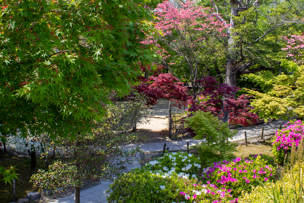 清須公園、４月春の花、愛知県清須市の観光・撮影スポットの名所