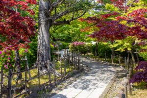 清須公園、４月春の花、愛知県清須市の観光・撮影スポットの名所