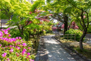 清須公園、つつじ、４月春の花、愛知県清須市の観光・撮影スポットの名所
