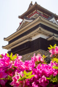清須公園、つつじ・清州城、４月春の花、愛知県清須市の観光・撮影スポットの名所
