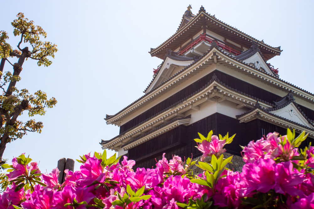 清須公園、つつじ・清州城、４月春の花、愛知県清須市の観光・撮影スポットの名所