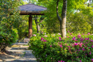 大倉公園、つつじ、５月夏の花、愛知県大府市の観光・撮影スポットの画像と写真