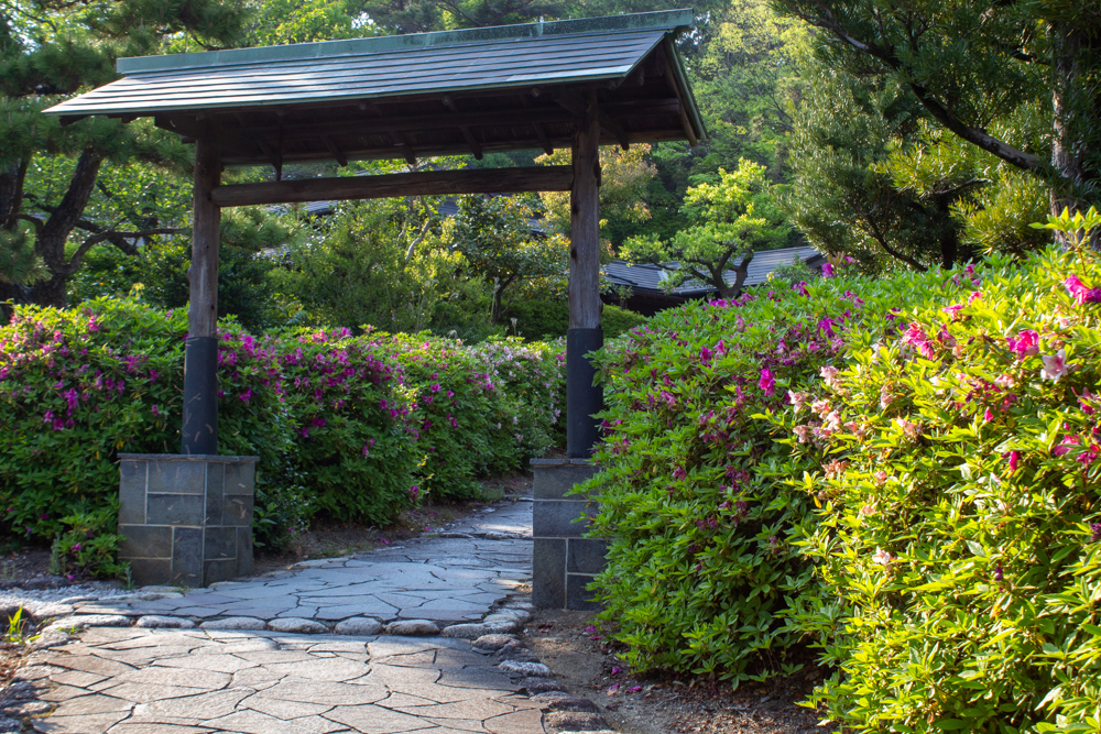大倉公園、つつじ、５月夏の花、愛知県大府市の観光・撮影スポットの画像と写真