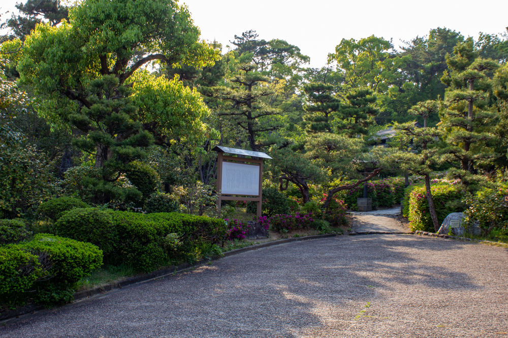大倉公園、５月夏の花、愛知県大府市の観光・撮影スポットの画像と写真