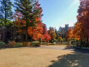 久屋大通庭園フラリエ、紅葉、11月秋、名古屋市中区の観光・撮影スポットの画像と写真