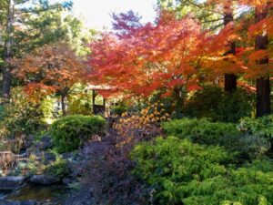 久屋大通庭園フラリエ、紅葉、11月秋、名古屋市中区の観光・撮影スポットの画像と写真