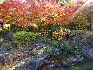 久屋大通庭園フラリエ、紅葉、11月秋、名古屋市中区の観光・撮影スポットの画像と写真